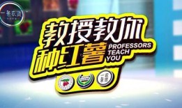 地瓜爆料视频大全最新,揭秘娱乐圈幕后真相