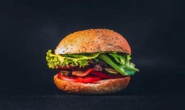 中国汉堡爆料案件最新,揭秘食品安全背后的真相与挑战