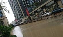 深圳宝安区最新爆料,揭秘深圳西部发展新动向