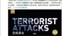 新疆爆料视频最新消息,揭秘神秘事件背后的真相