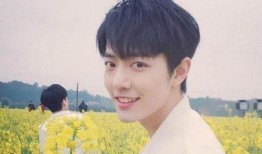 圈内爆料杨紫肖战最新,神秘新剧引期待