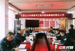 桑植新闻爆料视频最新版,揭秘事件真相，追踪进展动态