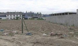 米垃圾最新爆料