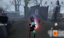 红蝶联动最新爆料视频大全,精彩瞬间尽收眼底