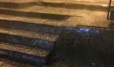 重庆大雨网最新爆料台,暴雨来袭，城市应对挑战全纪录