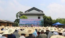 清远阳山新闻爆料最新,详情即将揭晓