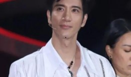 王力宏最新吃瓜爆料,揭秘娱乐圈惊人内幕