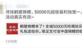 鹤壁最新爆料事件真相,真相大白，揭秘背后惊人内幕
