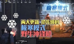 牛队爆料视频大全最新版本,最新版本精彩内容大盘点