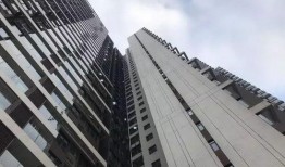 广州惠州最新爆料,揭秘城市新动态与热点事件