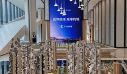 深圳宝安区最新爆料,揭秘深圳西部发展新动向