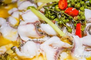 最新吃酸菜鱼爆料广告,独家秘制配方曝光！