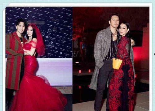 钟丽缇最新爆料,揭秘豪门婚姻背后的真相