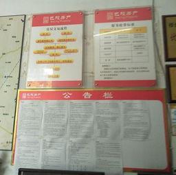 人力中介爆料案例范文最新,内幕揭秘与行业反思