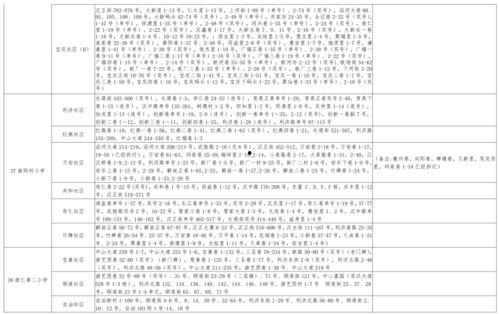 国风伙伴最新爆料视频大全,揭秘视频大全背后的精彩瞬间